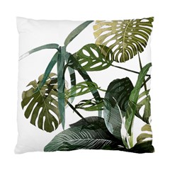 Botanical Illustration Palm Leaf Standard Cushion Case (one Side) by Mariart