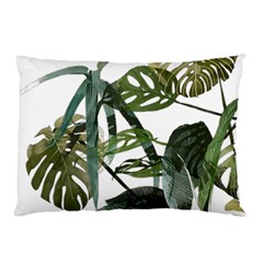 Botanical Illustration Palm Leaf Pillow Case by Mariart