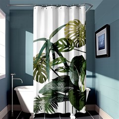 Botanical Illustration Palm Leaf Shower Curtain 36  X 72  (stall)  by Mariart