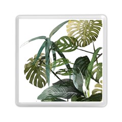 Botanical Illustration Palm Leaf Memory Card Reader (square) by Mariart