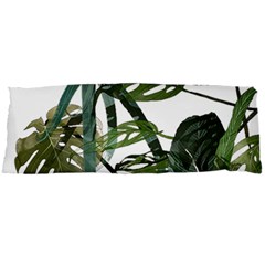 Botanical Illustration Palm Leaf Body Pillow Case Dakimakura (two Sides) by Mariart