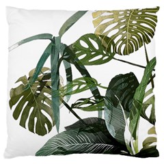 Botanical Illustration Palm Leaf Large Cushion Case (one Side) by Mariart