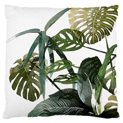 Botanical Illustration Palm Leaf Standard Flano Cushion Case (one Side) by Mariart