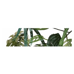 Botanical Illustration Palm Leaf Satin Scarf (oblong) by Mariart