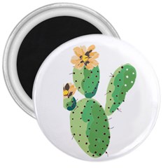 Cactaceae Thorns Spines Prickles 3  Magnets by Mariart