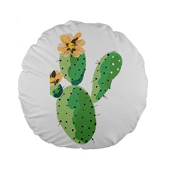 Cactaceae Thorns Spines Prickles Standard 15  Premium Flano Round Cushions by Mariart