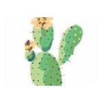 Cactaceae Thorns Spines Prickles Double Sided Flano Blanket (Mini)  35 x27  Blanket Front