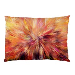 Color Background Structure Lines Pillow Case by Mariart