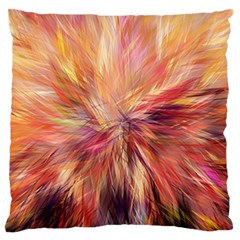 Color Background Structure Lines Large Flano Cushion Case (one Side) by Mariart