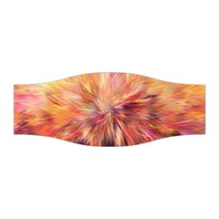 Color Background Structure Lines Stretchable Headband by Mariart