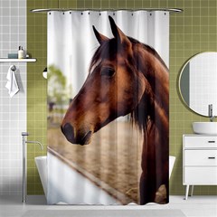 Arabian Horse Shower Curtain 48  X 72  (small)  by WensdaiAmbrose