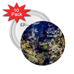 Under The Sea 2 25  Buttons (10 Pack) 