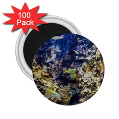 Under The Sea 2 25  Magnets (100 Pack) 