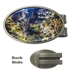 Under The Sea Money Clips (oval) 