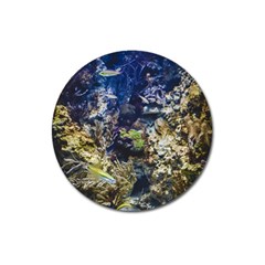 Under The Sea Magnet 3  (round)