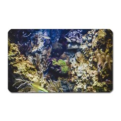 Under The Sea Magnet (rectangular) by JezebelDesignsStudio