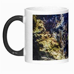 Under The Sea Morph Mugs