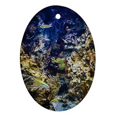 Under The Sea Oval Ornament (two Sides)