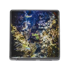 Under The Sea Memory Card Reader (square 5 Slot) by JezebelDesignsStudio