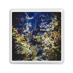 Under The Sea Memory Card Reader (square)