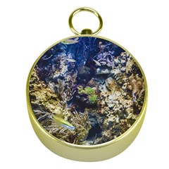 Under The Sea Gold Compasses