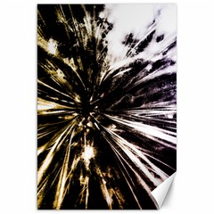 Burst Canvas 20  X 30 