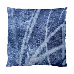 Echo Blue Standard Cushion Case (one Side)