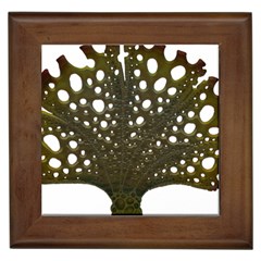 Leaf Tree Framed Tiles by Mariart