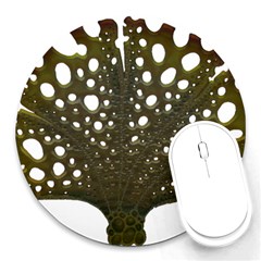 Leaf Tree Round Mousepads by Mariart