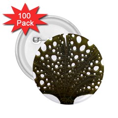 Leaf Tree 2 25  Buttons (100 Pack) 