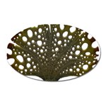 Leaf Tree Oval Magnet Front