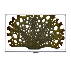 Leaf Tree Business Card Holder by Mariart