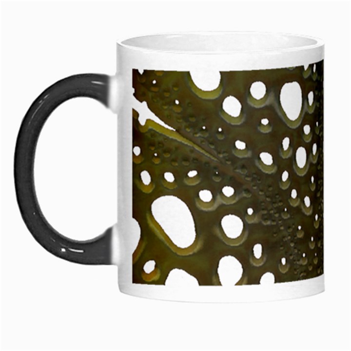 Leaf Tree Morph Mugs