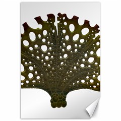 Leaf Tree Canvas 12  X 18  by Mariart