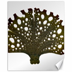 Leaf Tree Canvas 11  X 14  by Mariart