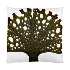 Leaf Tree Standard Cushion Case (one Side) by Mariart