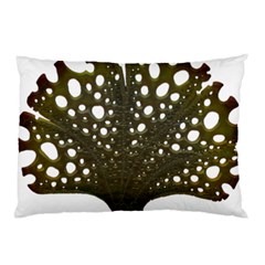 Leaf Tree Pillow Case (two Sides) by Mariart