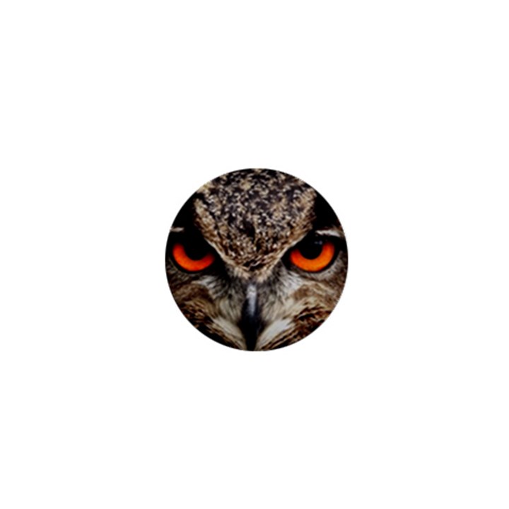 Owl s Scowl 1  Mini Buttons