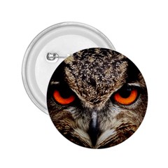 Owl s Scowl 2 25  Buttons by WensdaiAmbrose