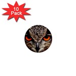 Owl s Scowl 1  Mini Buttons (10 pack)  Front