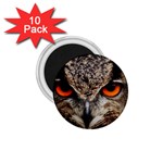 Owl s Scowl 1.75  Magnets (10 pack)  Front