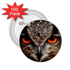 Owl s Scowl 2 25  Buttons (100 Pack)  by WensdaiAmbrose