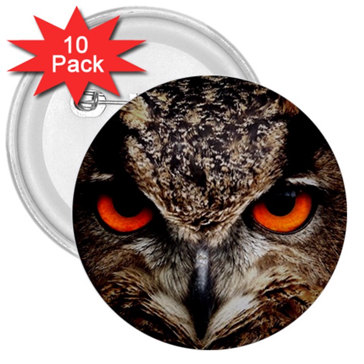 Owl s Scowl 3  Buttons (10 pack) 