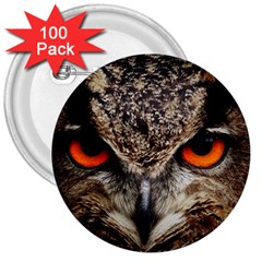 Owl s Scowl 3  Buttons (100 Pack)  by WensdaiAmbrose