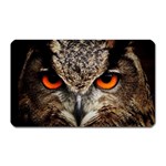 Owl s Scowl Magnet (Rectangular) Front