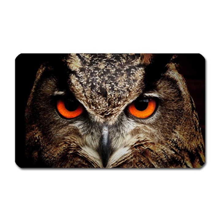 Owl s Scowl Magnet (Rectangular)