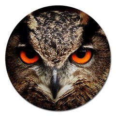 Owl s Scowl Magnet 5  (round) by WensdaiAmbrose