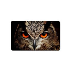 Owl s Scowl Magnet (name Card) by WensdaiAmbrose