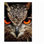 Owl s Scowl Large Garden Flag (Two Sides) Front