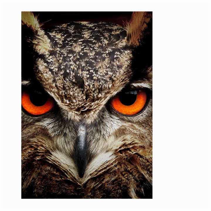 Owl s Scowl Large Garden Flag (Two Sides)